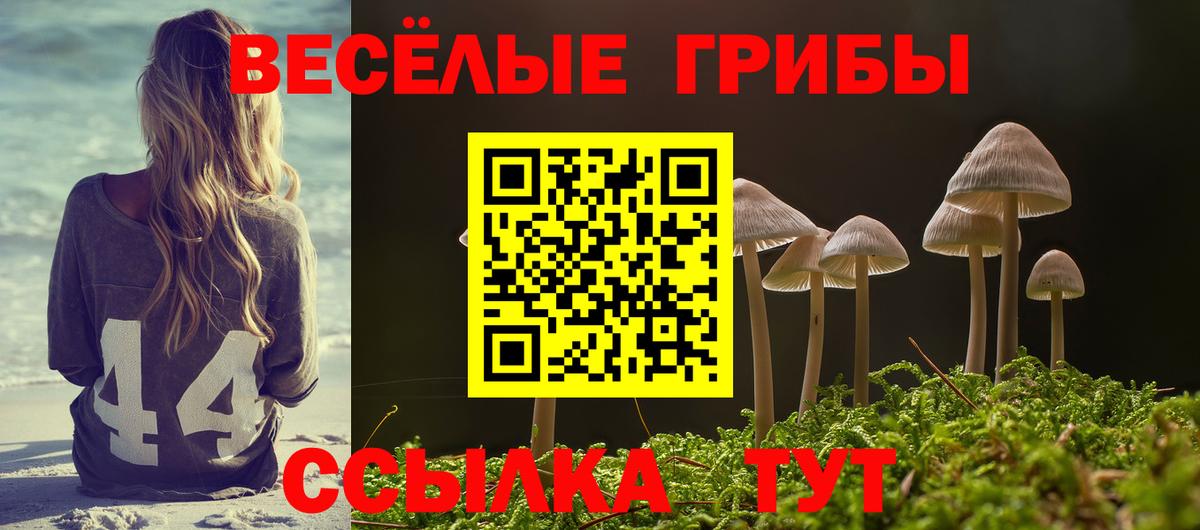 Псилоцибиновые грибы прущие грибы  Вход с VPN  Набережные Челны 